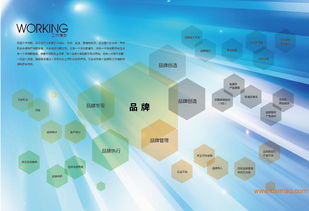 沈陽品牌設(shè)計(jì)策劃全鏈條服務(wù) 從VI、畫冊(cè)到店面裝修與互聯(lián)網(wǎng)營(yíng)銷的整合方案